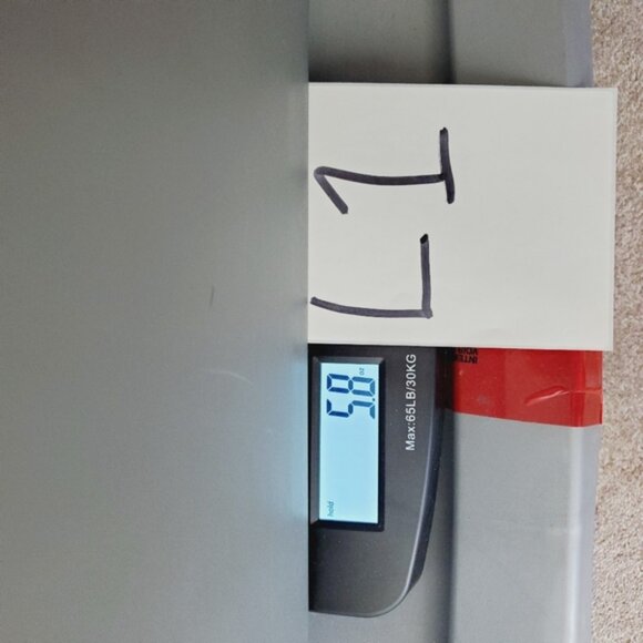 Vintage Silk Velvet Mitchies 90s Canada Artsy Whimsigoth Vamp Grey Scarf - Picture 10 of 10